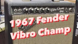 1967 Fender Vibro Champ