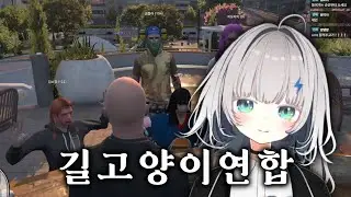 길고양이연합 보스가 됐어요 | 콩밥특별시 5화