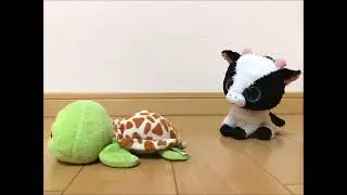Our ty Beanie Boos 