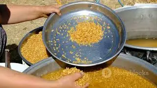 From Seed to Snack: The Journey of Corn to Popcorn#CornFarming #CornHarvest #PopcornFactory