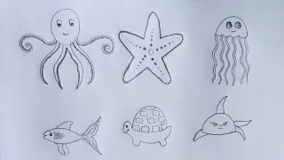How to draw water animals | easy sea animals drawing