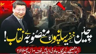 The Hidden Reality of Snake Farmsin China | Dangerous for the World | china snakes | RameezVoice5