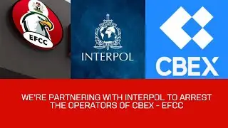 We're Partnering With Interpol to Arrest the Operators of CBEX - EFCC