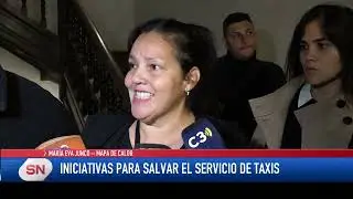 Iniciativas para salvar el servicio de taxis. Concejo Municipal.