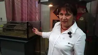 Пьяноборская и Мазунинская культуры - 2 часть лекции &laquo;Железный век на территории Удмуртии&raquo;