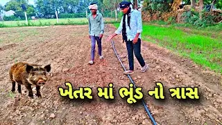 ખેતર માં ભૂંડ નો ત્રાસ 🦛 || @ChangaTeam  || New Gujarati comedy videos || 2025
