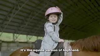 7 Secret Whinnies REVEALED: Is Your Horse Really Talking to You? [MUST-WATCH]
