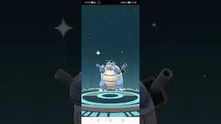 Вартортл в очках в Бластойз в очках! Pokemon GO!