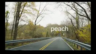peach by future islands music video