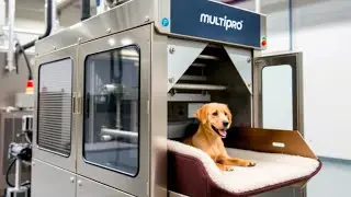 Revolutionize Dog Bed Packaging with the Multipro Dog Vacuum Packing Machine | MultiproMachines