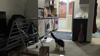 آخه روی رخت آویز؟؟ الان برگرده که من بدبخت میشم بچه