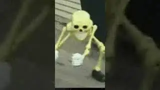 RANDM AHH VIDEO