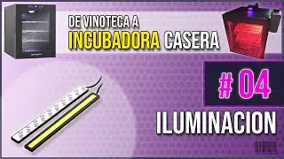 INCUBADORA CASERA 🐣 en VINOTECA 4/11 | Iluminación interior 💡 | LEDS