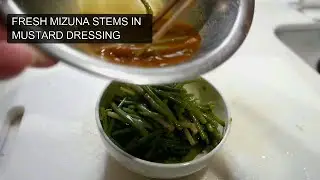 How to find and cook wildedible Water Nettle みずな/ウワバミソウ (Elatostema umbellatum) Forager Japan