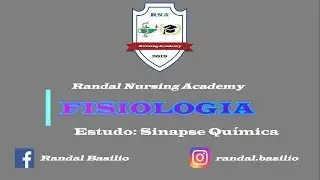 Sala de Estudo Fisiologia Humana #3 Sinapse Química