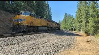 Union Pacific Stack train in Dutch flat CA. 