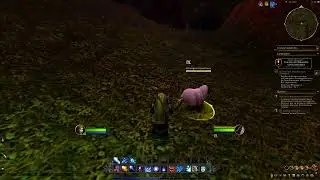 World Of Warcraft  sheep mouton
