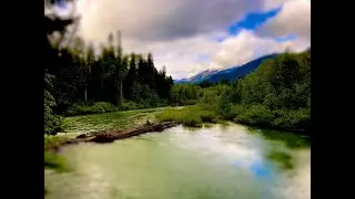 Check out this Beautiful place - Ross Lake, BC