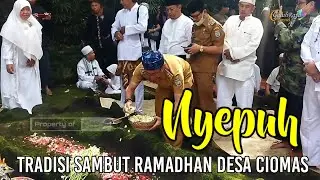 Tradisi 