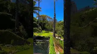 Garden Suite at Ocean View House