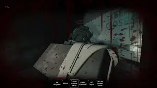 My personal interaction with a chimera (examination)