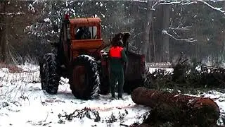 Těžba,přibližování Valtinov