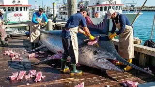 Fisherman Uses Hand to Pull Rope to Catch Swordfish, Swordfish Over 3 Meters Long Was Pulled Up!