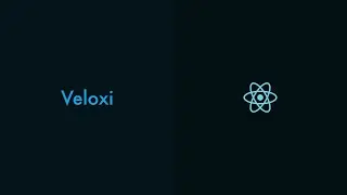 How to Use Veloxi in React Components