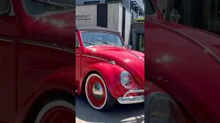 Our 1964 Beetle convertible restoration soaking up some sun.