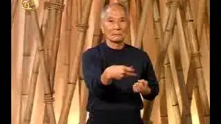 V Grand Master Ip Chun interview  Siu Nim Tao Pt 2 medium
