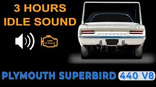Plymouth Superbird 440 V8 Idle Sound | 3 Hours ASMR