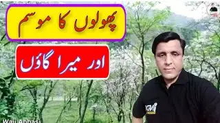 Explore pakistan springs season in my village moolia abbottabad ||lockdown waji Abbasi