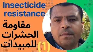 مقاومة الحشرات للمبيدات Insecticide resistance