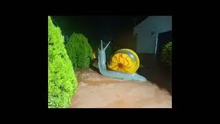 carlos lilo 1 nov 2025 CANGRE  resumen temazos