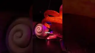 The Craziest museum you'll see today🤯 (Corpus, The Netherlands)
