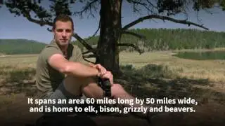 The Great Guide To The Future: Yellowstone National Park