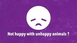 Not happy with unhappy animals? Become an Angel sponsor at the GSPCA