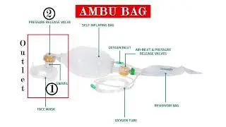 Ambu Bag || Definition | Parts | Indication & Details || Nursing Study in Hindi