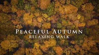 Beautiful Autumn Colours, walks in England 
