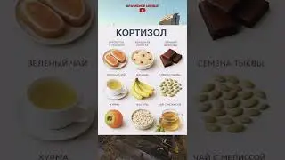 Источники Кортизола