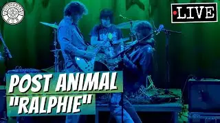 Post Animal 