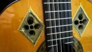 ADRIAN LE ROY TOURDION-KERTSOPOULOS DOUBLE COURSE GUITAR