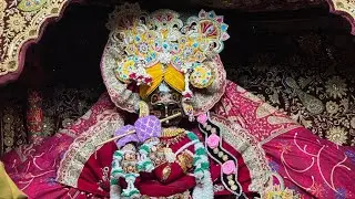 Live दिव्य दर्शन श्री राधा बल्लभ लाल जी 28/12/2025 🙏 #radhaballabhji