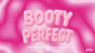 Saltyy - BOOTY PERFECT [Official Audio]