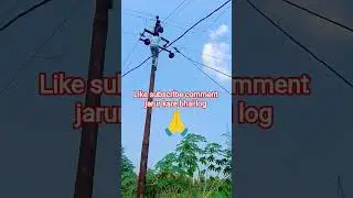 11000 line ka maintenance electric 💡💡💡⚡⚡ fault clear karte samay