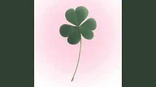 4leafclover!