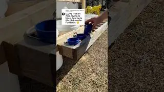 DIY Vertical Herb Garden with mini buckets #diy #garden #herbs