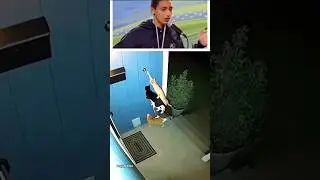 Funny video vat 😂
