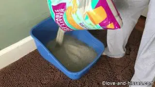 Litter Review -   Frisco Cat Litter