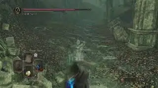 Ds2 sotfs no bonfire run ng+4  part 12